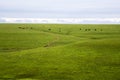 Rolling Prairies in Flint Hills Of Kansas Royalty Free Stock Photo