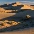 Sparse vegetation, consisting of clumps of grasses, punctuates the sandy terrain Royalty Free Stock Photo