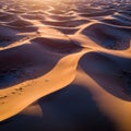 Rolling sand dunes bathed in warm sunlight create a mesmerizing landscape Royalty Free Stock Photo