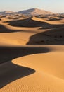 Rolling sand dunes under sunlight in a desert landscape create patterns of light and Royalty Free Stock Photo