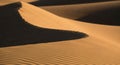 Rolling sand dunes under warm, golden Royalty Free Stock Photo