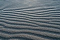 Rolling Sands of Bruneau Dunes Royalty Free Stock Photo