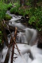 Tangelwood Creek Running with summer mountain snowmelt