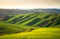 Rolling Tuscany hills in the golden hour Royalty Free Stock Photo