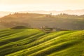 Rolling Tuscany hills in the golden hour Royalty Free Stock Photo