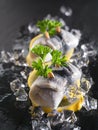Rollmop herring on lemon slices and ice cubes Royalty Free Stock Photo