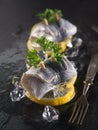 Rollmop herring on lemon slices and ice cubes Royalty Free Stock Photo