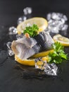 Rollmop herring on lemon slices and ice cubes Royalty Free Stock Photo