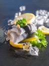Rollmop herring on lemon slices and ice cubes Royalty Free Stock Photo