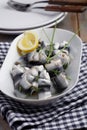 Rollmops in a dish Royalty Free Stock Photo