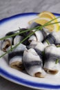 Rollmops in a dish Royalty Free Stock Photo