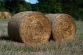 rolls of dry hay lying on background of the forest Royalty Free Stock Photo