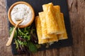 Rolls of filo stuffed with meat, eggs and greens close-up. Horizontal top view