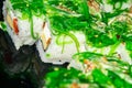 Rolls with fish, cheese and green algae. A traditional Japanese dish. Close up Royalty Free Stock Photo