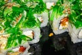 Rolls with fish, cheese and green algae. A traditional Japanese dish. Close up