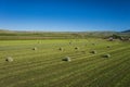 Rolls of Green Hay Bales Royalty Free Stock Photo