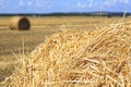 Rolls of hay in the autumn field. Bales of straw in the wheat field. Agricultural background Royalty Free Stock Photo