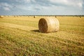 Rolls of hay bales in a field. One large roll in the foreground