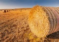 Rolls of hay bales in a field. One large roll in the foreground Royalty Free Stock Photo