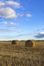 Rolls of hay in field