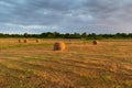 Rolls of hay in field at sunset