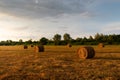 Rolls of hay in field at sunset