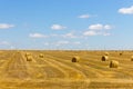 Rolls of hay in field of wheat. Haystacks in farmland. Wheat harvest concept. Round bales of hay.