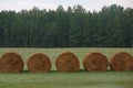 Rolls of hay on green field with forest in background