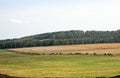 Rolls of hay lying along the road which cut the field on two pieces. Royalty Free Stock Photo