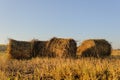 Rolls of hay lying in autumn Royalty Free Stock Photo