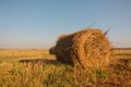 Rolls of hay lying in autumn Royalty Free Stock Photo