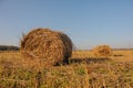 Rolls of hay lying in autumn Royalty Free Stock Photo