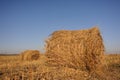 Rolls of hay lying in autumn Royalty Free Stock Photo