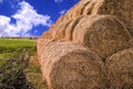 Rolls of hay stacked in a stack on the field against the blue sk Royalty Free Stock Photo