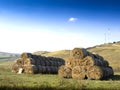 Rolls of haystacks on the field.