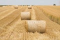 Rolls of haystacks in the fields Royalty Free Stock Photo