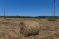 Rolls of haystacks. Novorossiysk, Russia, Krasnodarskiy Kray. 04.06.2017