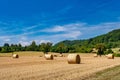 Rolls haystacks straw on field, harvesting wheat.