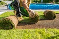 Rolls of Natural Grass Turfs Being Installed Inside a Backyard Garden Royalty Free Stock Photo