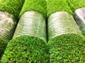 Artificial grass detail Royalty Free Stock Photo