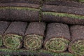 Rolls of new grass sod on a pile Royalty Free Stock Photo