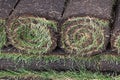 Rolls of new grass sod on a pile Royalty Free Stock Photo