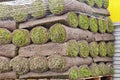 Rolls of new sod Royalty Free Stock Photo