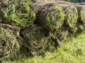 Rolls of rolled up turf sod Royalty Free Stock Photo