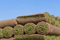 Rolls of sod Royalty Free Stock Photo