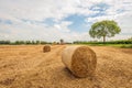 Rolls of straw on the freshly harvested grain field Royalty Free Stock Photo