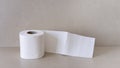 Rolls of toilet paper on grunge background Royalty Free Stock Photo