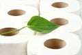 Rolls of toilet paper with the leaf. Recycling, ecology and cons