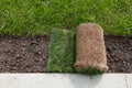 Rolls of turf or turfgrass, close-up. Landscaping of territory in the park Royalty Free Stock Photo