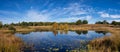 The Rolvennen lakes in the National Park Meinweg near Roermond